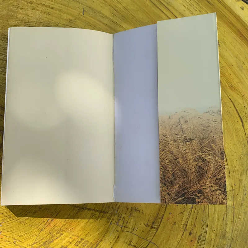 CON CÁI NGƯỜI KỸ NỮ - JULIET PHILIP  744861