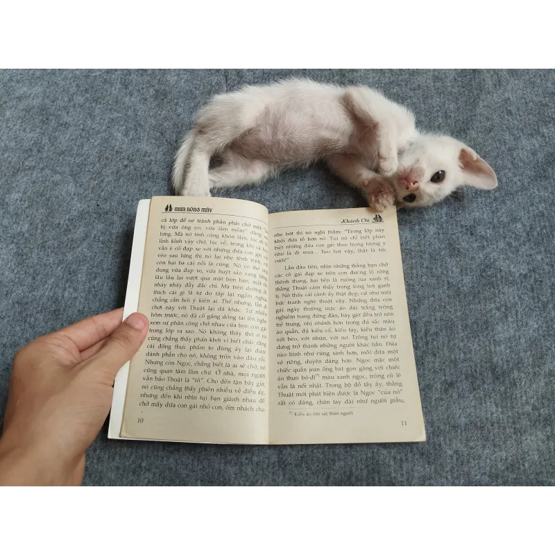 MƯA BÓNG MÂY - KHÁNH CHI 567812