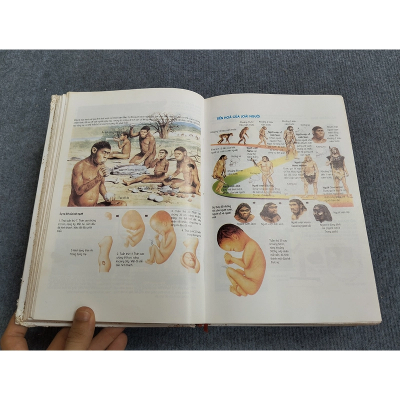 BÁCH KHOA TRI THỨC HỌC SINH 469855