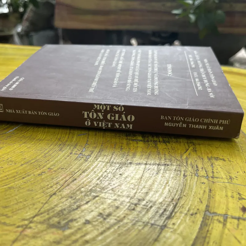 MỘT SỐ TÔN GIÁO Ở VIỆT NAM- NGUYỄN THANH XUÂN 602652