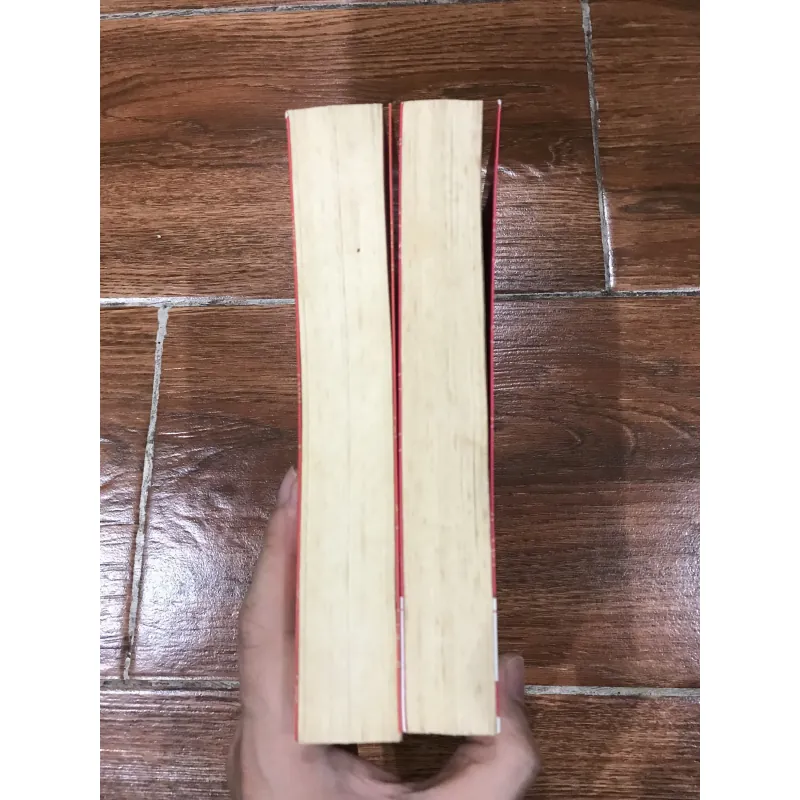 Thái tử phi thăng chức ký bộ 2 tập (t4) 799576