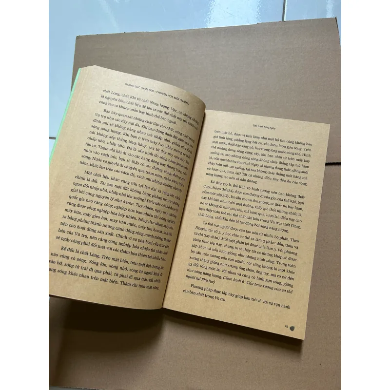 Thanh lọc thân tâm - chuyển hóa môi trường - Thích Tâm Thành 748089