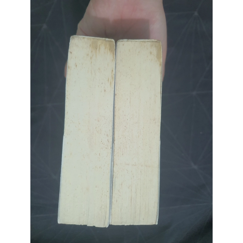 "Thời gian tươi đẹp" - Đinh Mặc 497222