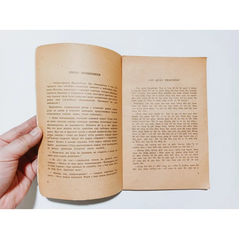 Người Đàn Bà Có Con Chó Nhỏ - Truyện Ngắn A. Tsêkhốp 740768