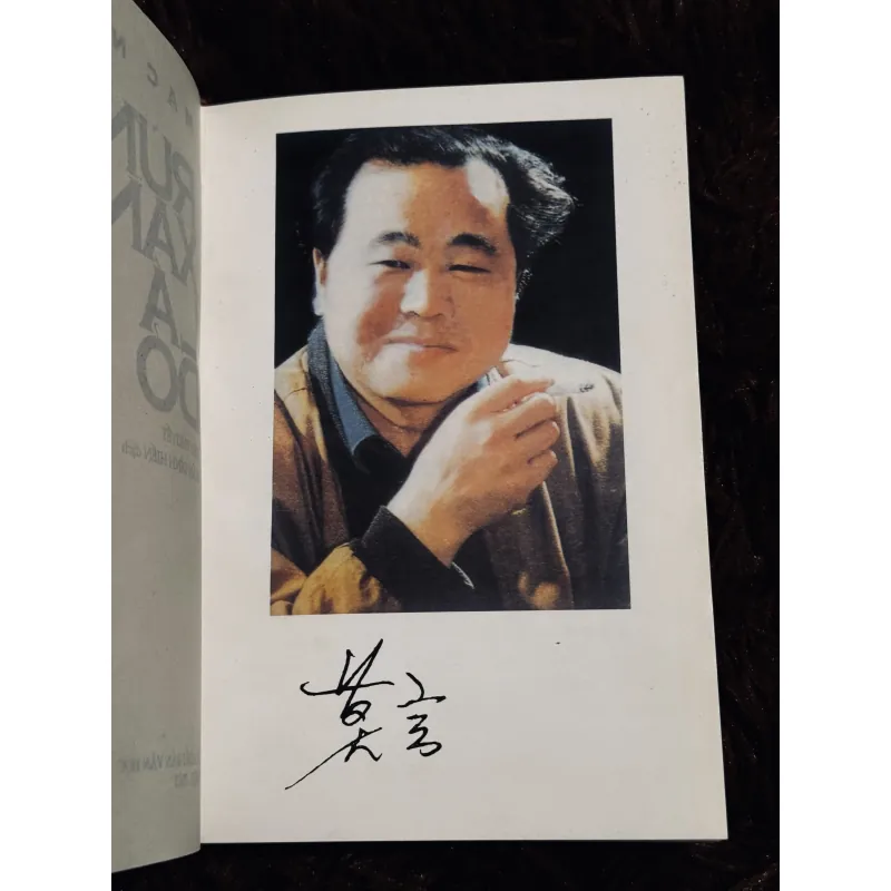 Rừng xanh lá đỏ 996357