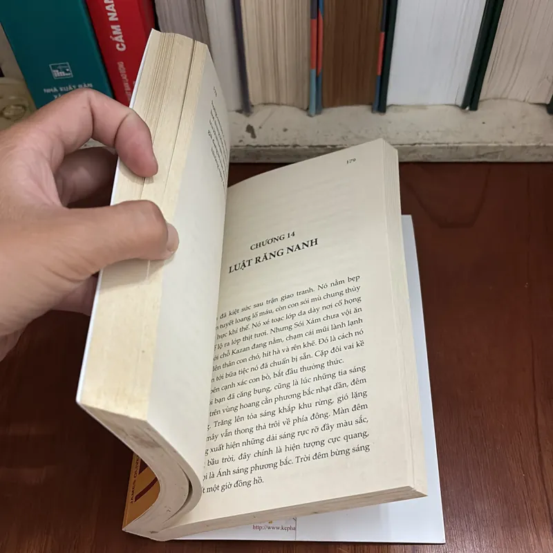 II Văn Học Thiếu Nhi: KAZAN - James Oliver Curwood - Đặng Việt Vân Hà (Dịch) - 2019 709224