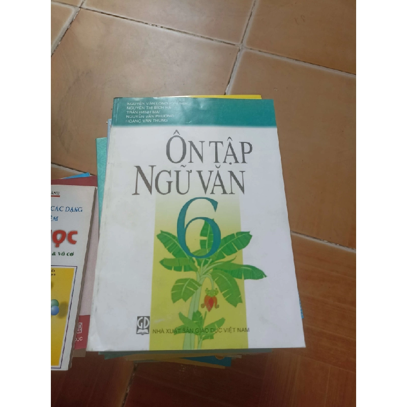 Ôn tập ngữ văn 6 - Hạnh Mai 2014 (Tham khảo - luyện thi) VAVO1304-AK3ST2 1012329