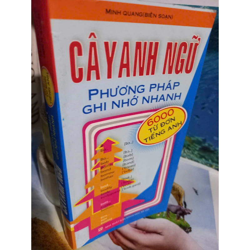 cây anh ngữ bản mini 479646