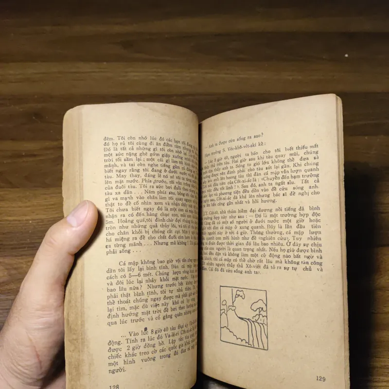 Các Con Vật Trên Rừng Dưới Biển - Đoàn Giỏi 1022201