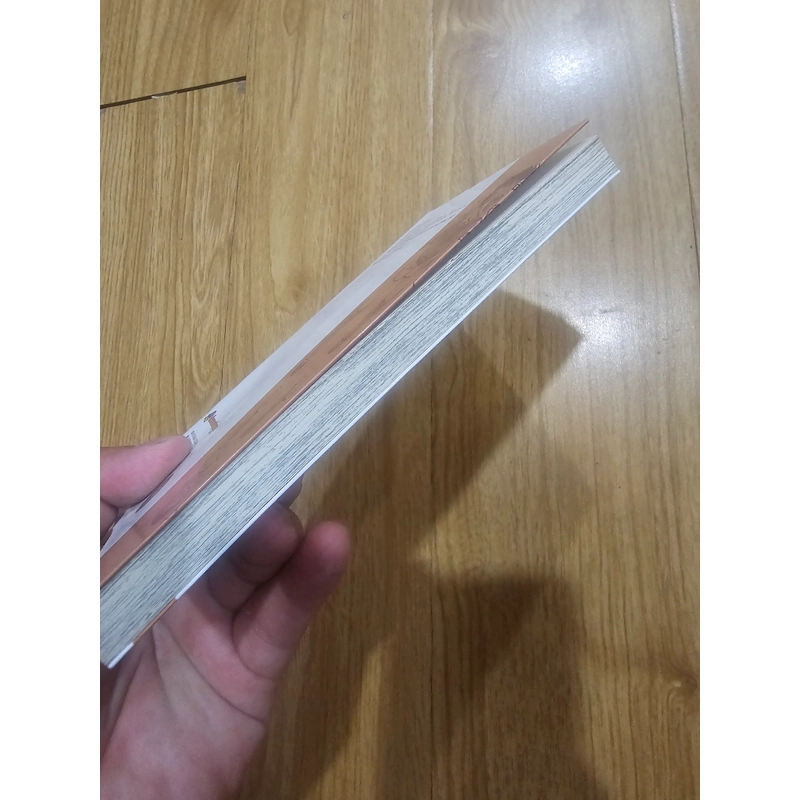 Tsubasa giấc mơ sân cỏ tập 17 454496