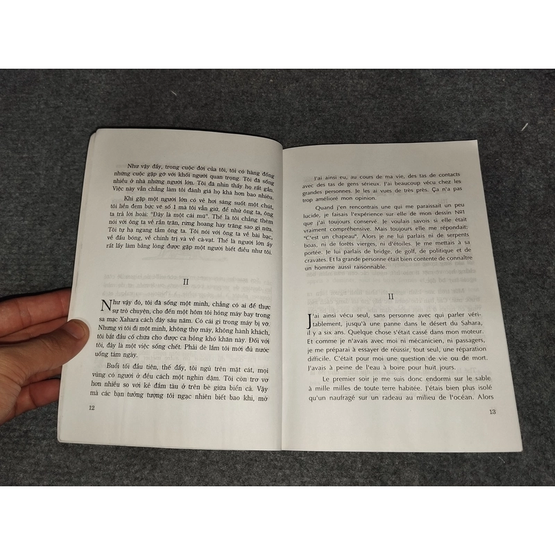 CHÚ BÉ HOÀNG TỬ 499217