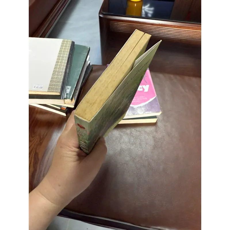 K2-Độc Thân Cần Yêu – Tuấn Thu Trang | Sách Tản Văn Tình Cảm Nhẹ Nhàng, Chữa Lành 990835