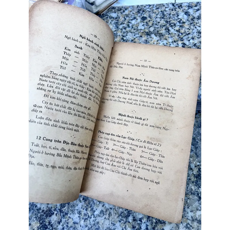 Tử vi đẩu sổ - Nguyễn Mạnh Bảo  785003