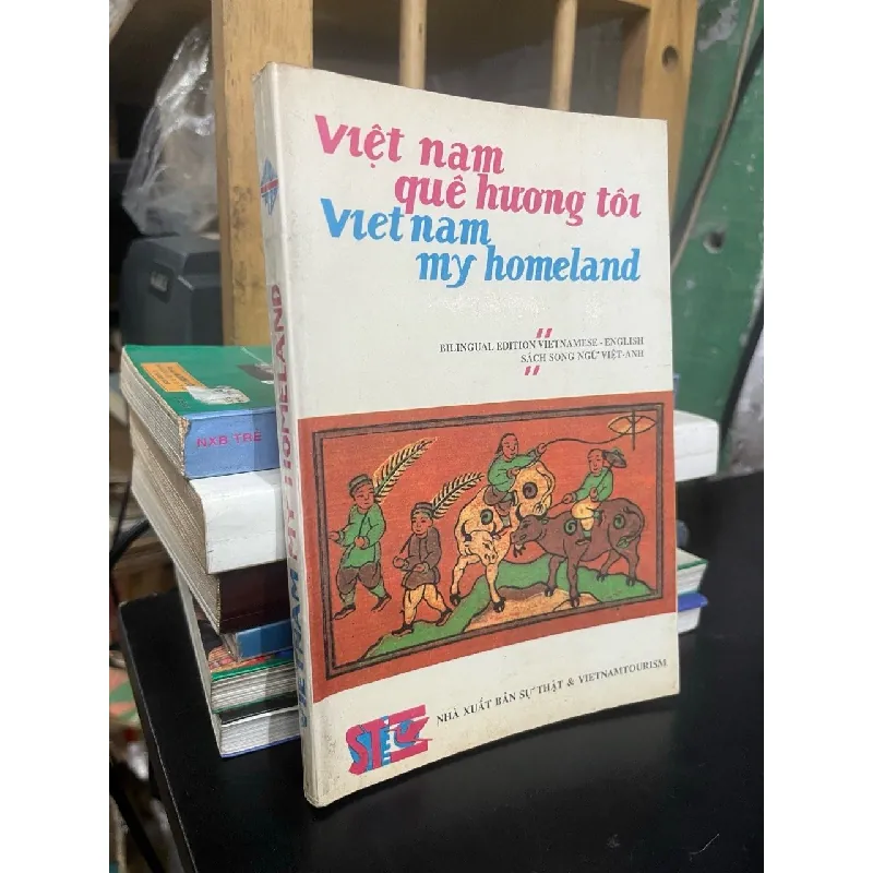 Việt Nam quê hương tôi 598650