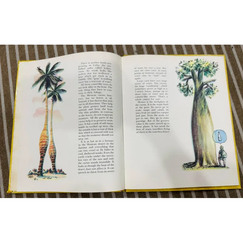 The Magic Tree (Cây thần kỳ) Bìa cứng  599391