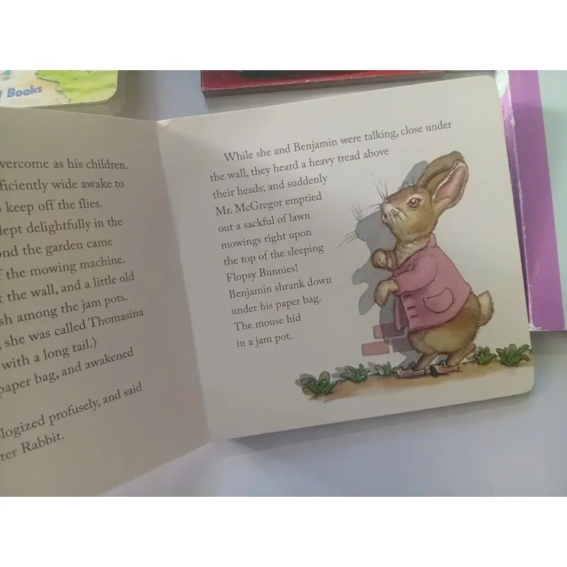 Set Boardbook 993537