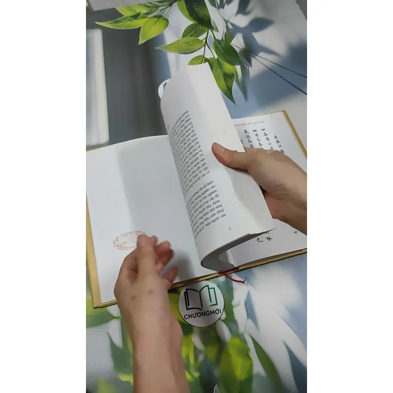 [MIỄN PHÍ BỌC SÁCH] Đinh Nho Hoàn: Thân Thế Và Sự Nghiệp - Hoàng Giáp 750797