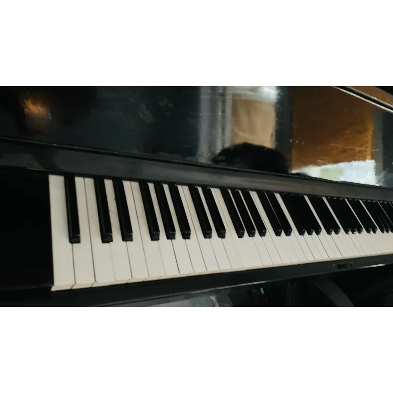 Đàn Piano Cơ của Nhật 751644
