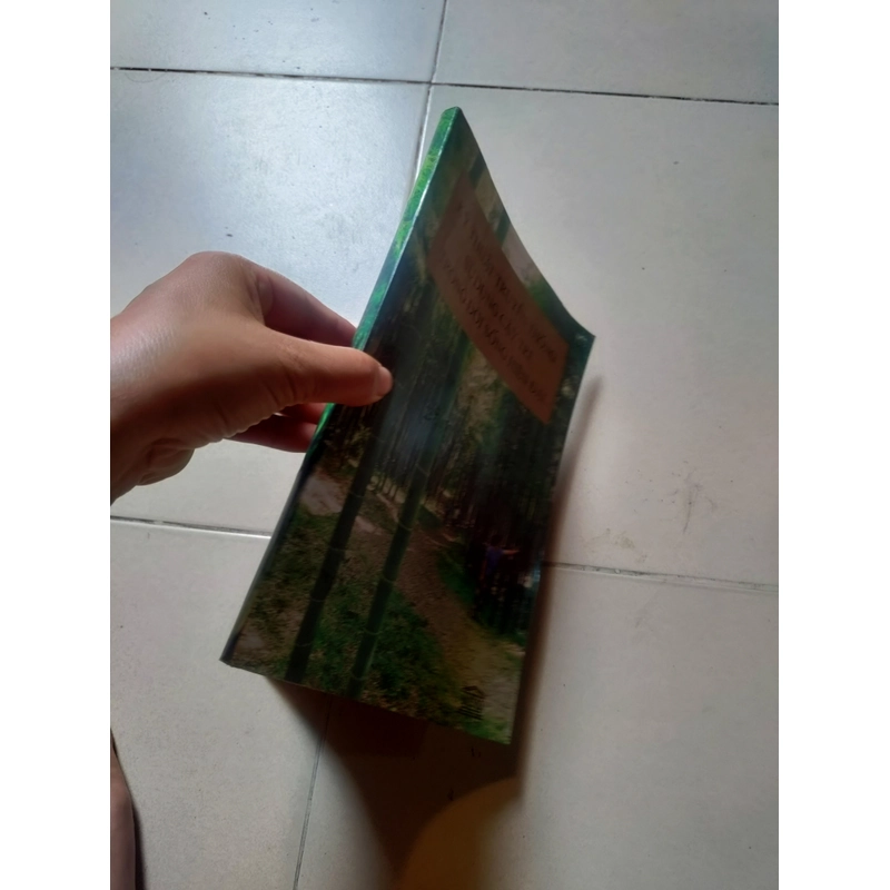 Kỹ thuật truyền thống sử dụng cây Tre trong truyền thống hiện đain 477132