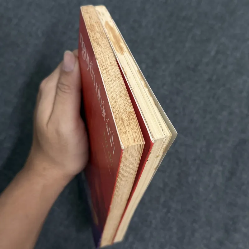 Hạ đỏ - Nguyễn Nhật Ánh 1023086