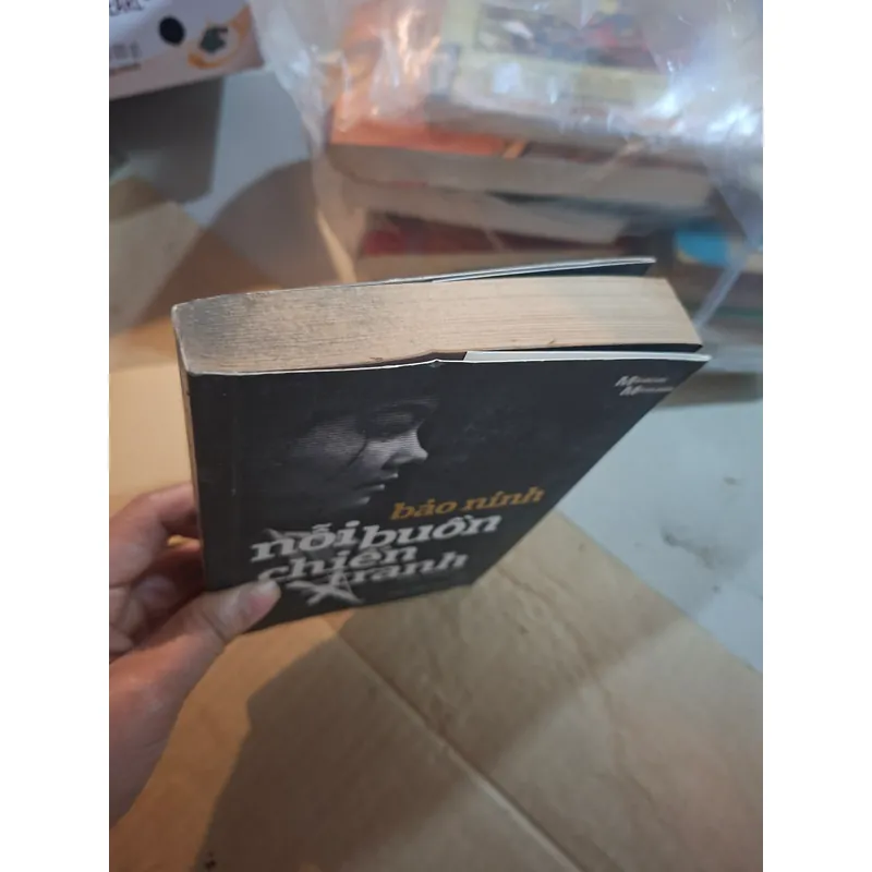 Nỗi buồn chiến tranh 739249