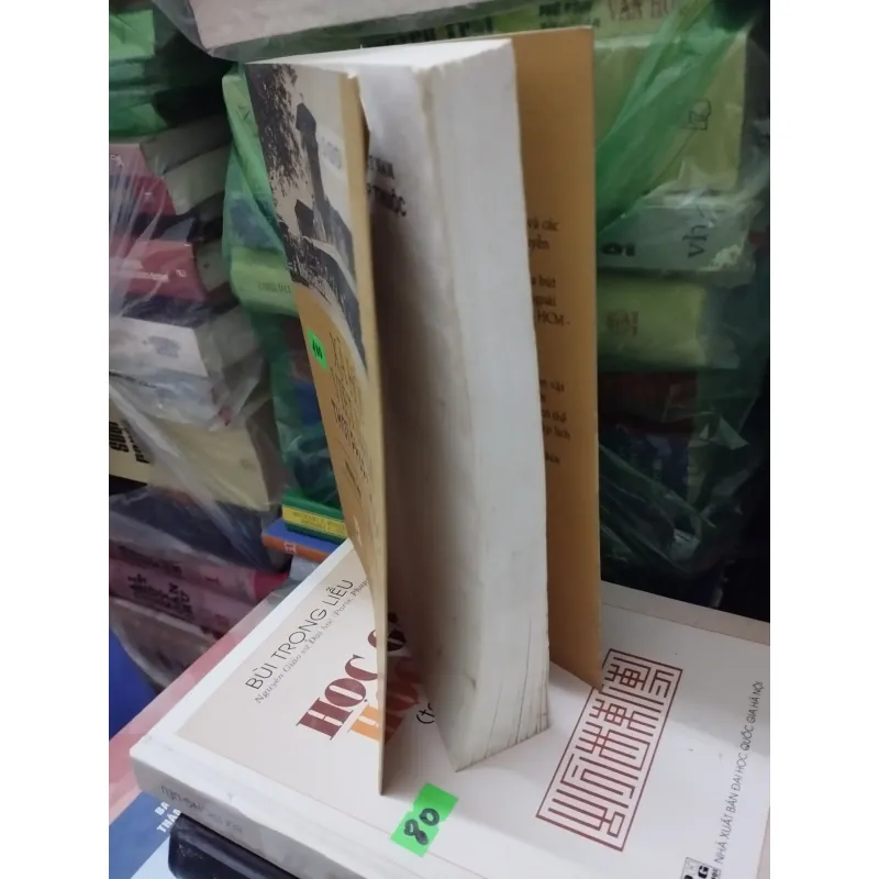 Xã hội Việt Nam thời Pháp thuộc - nhân vật và sự kiện lịch sử 777199