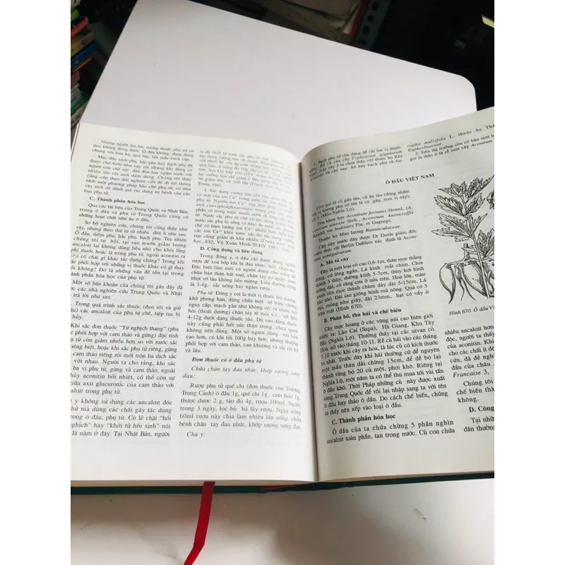 2. 📚 NHỮNG CÂY THUỐC VÀ VỊ THUỐC VIỆT NAM – Đỗ Tất Lợi Bìa cứng, khổ to, 1.272 trang 557999