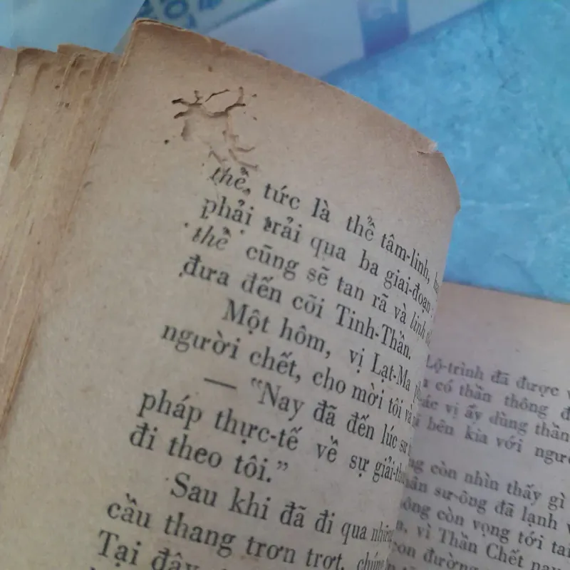 TÂY TẠNG HUYỀN BÍ - NGUYỄN HỮU KIỆT 783817