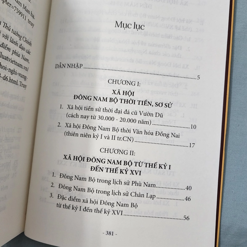 Xã hội Đông Nam Bộ khởi thủy đến đầu thế kỷ XXI | Huỳnh Ngọc Đáng 498489