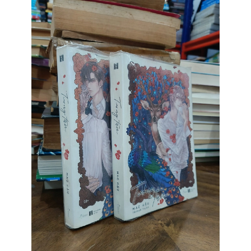 Tượng tâm (Trọn bộ 2 tập) - Mao Hậu (Ying dịch) 505439