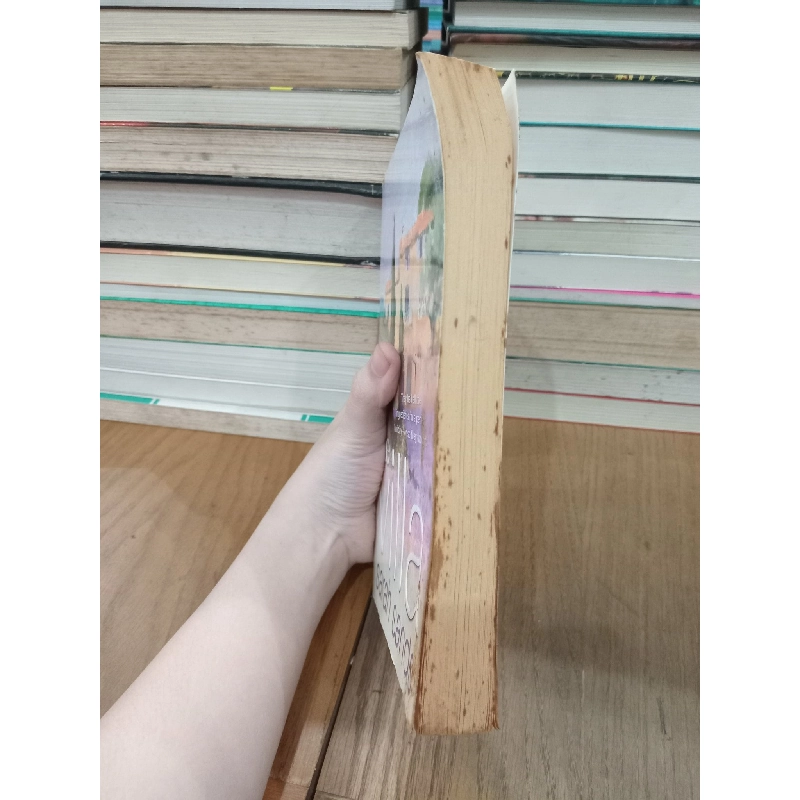 The villa - Sarah Sands 737959