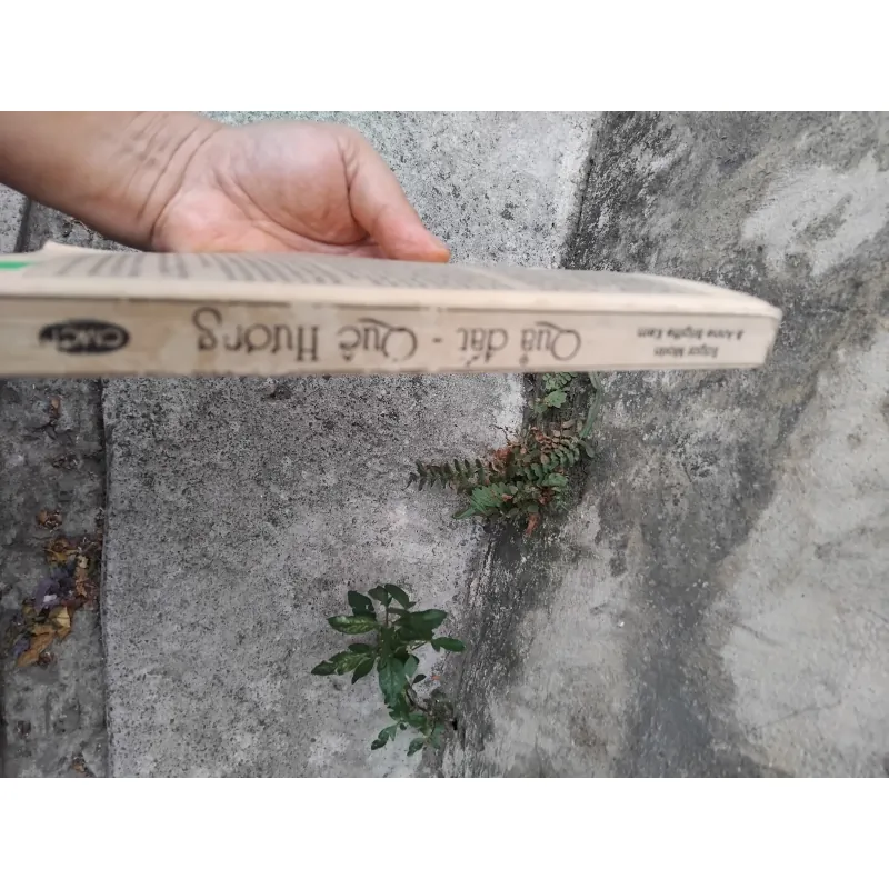 Quả đất quê hương của Edgar Morin và Anne Brigitte Kem  1026214