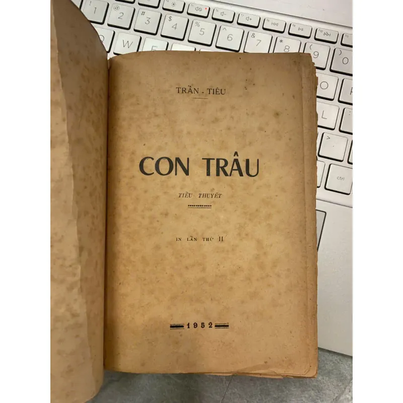 CON TRÂU - TRẦN TIÊU 704969