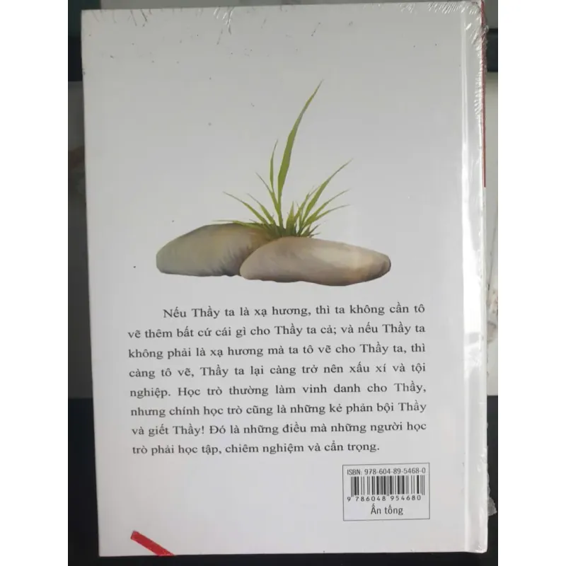 Tình Phơi Trên Đá Trắng - Thích Thái Hòa 689222