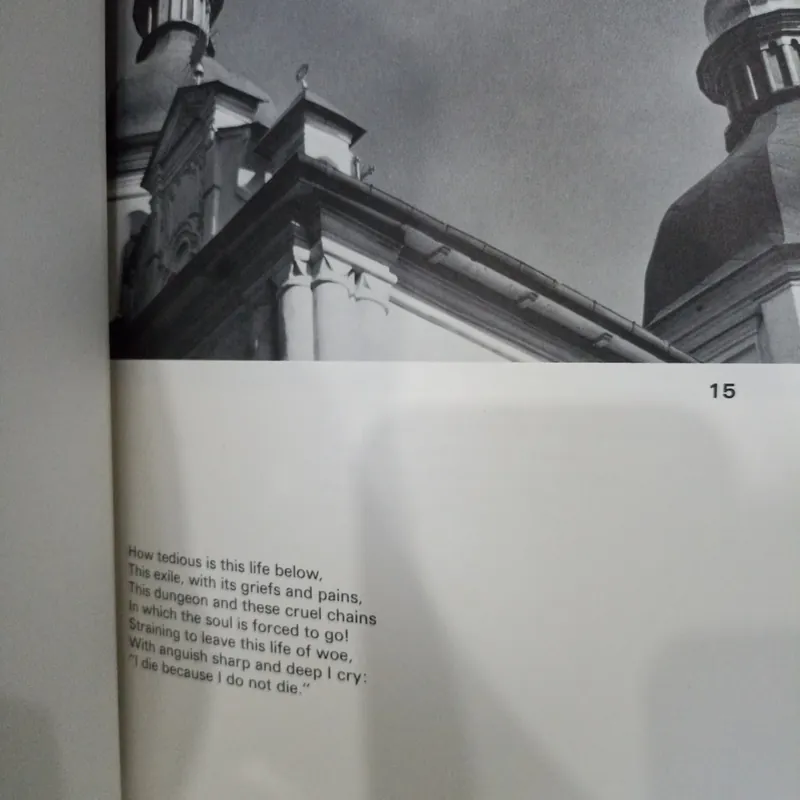 The Prison of Love 🌻 574001