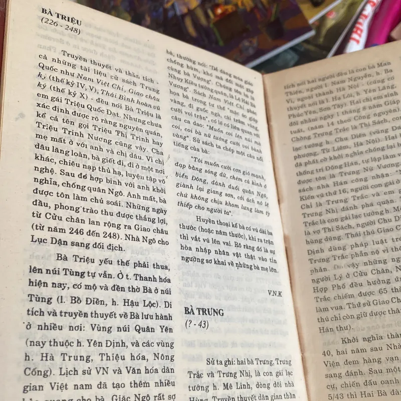 Từ điển văn hóa Việt Nam  732624