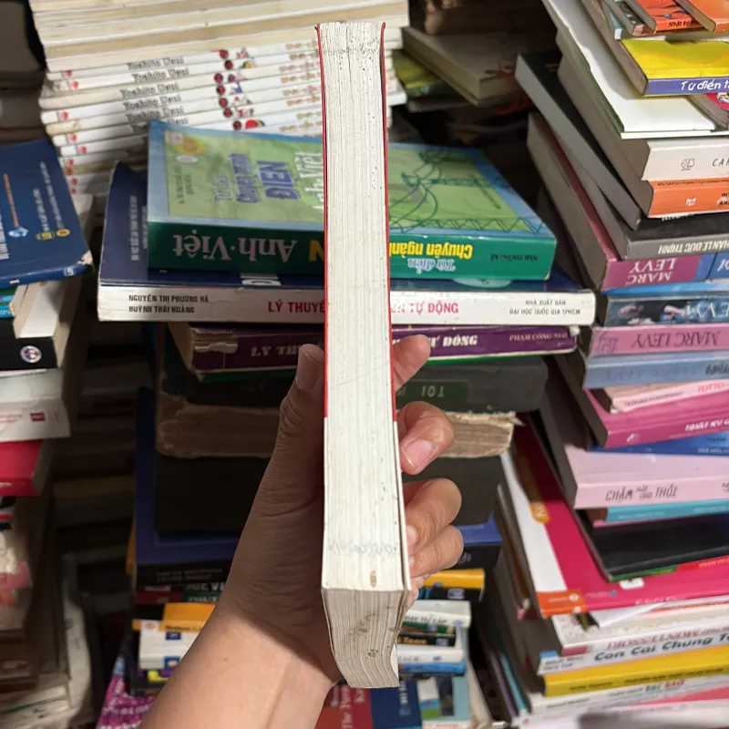 II Sách Kỹ Năng: Bùng Cháy Hay Tàn Lụi - MICHAEL LEE STALLARD - 2008 779231