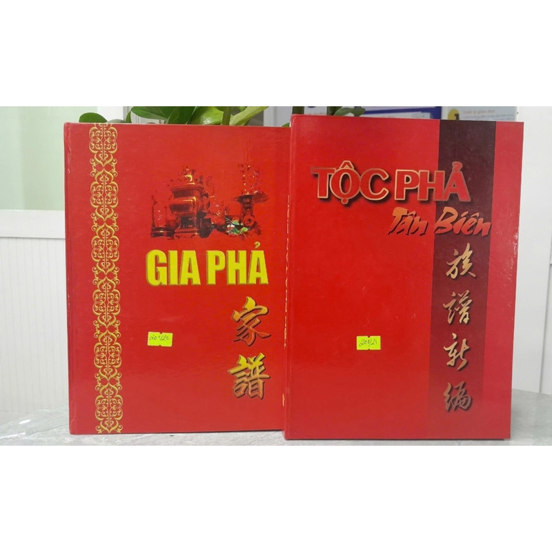 GIA PHẢ - TỘC PHẢ TÂN BIÊN 297413