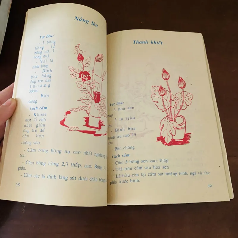 Hoa & nghệ thuật cắm hoa (1996) 974187