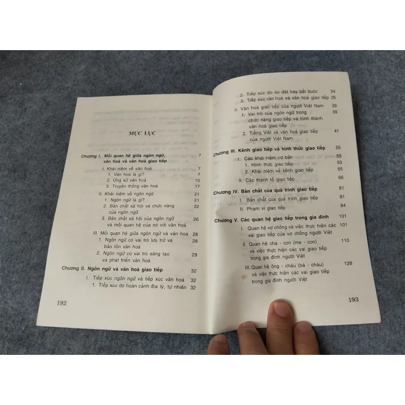 VĂN HOÁ VÀ NGÔN NGỮ GIAO TIẾP CỦA NGƯỜI VIỆT 719892