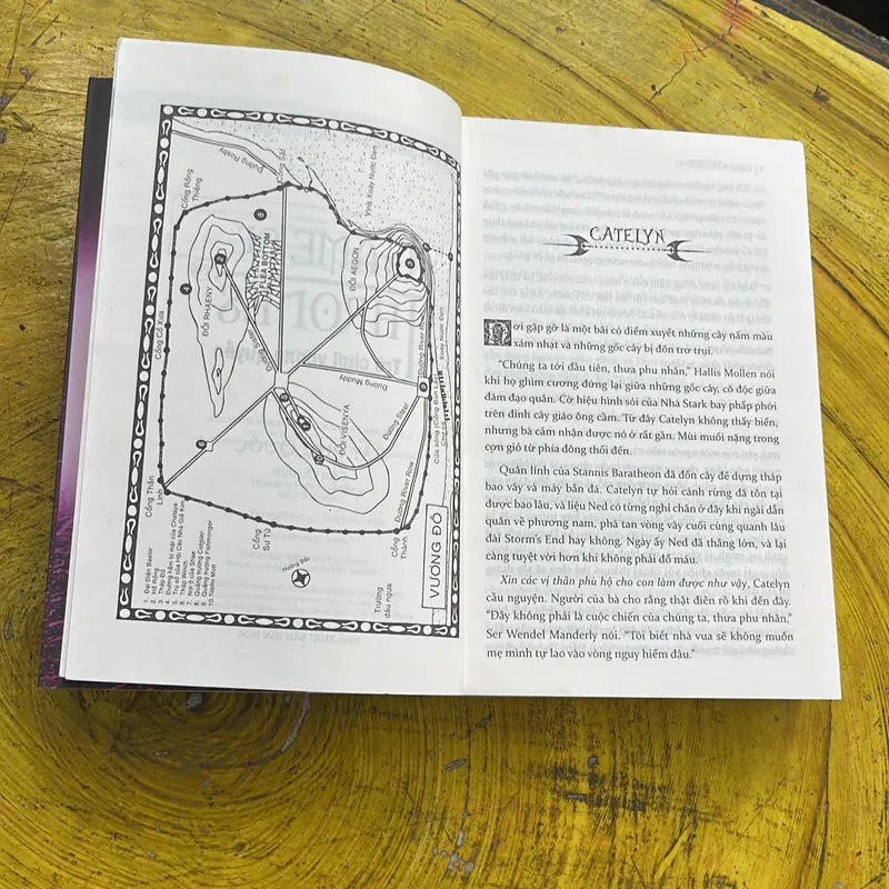 TRÒ CHƠI VƯƠNG QUYỀN (2a-2b) HẬU DUỆ CỦA SƯ TỬ VÀNG & BẢY PHỤ QUỐC 689631