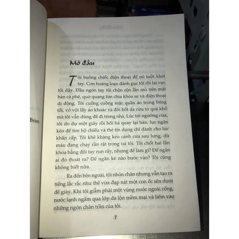 Mầm ác - Erin Kelly 975509