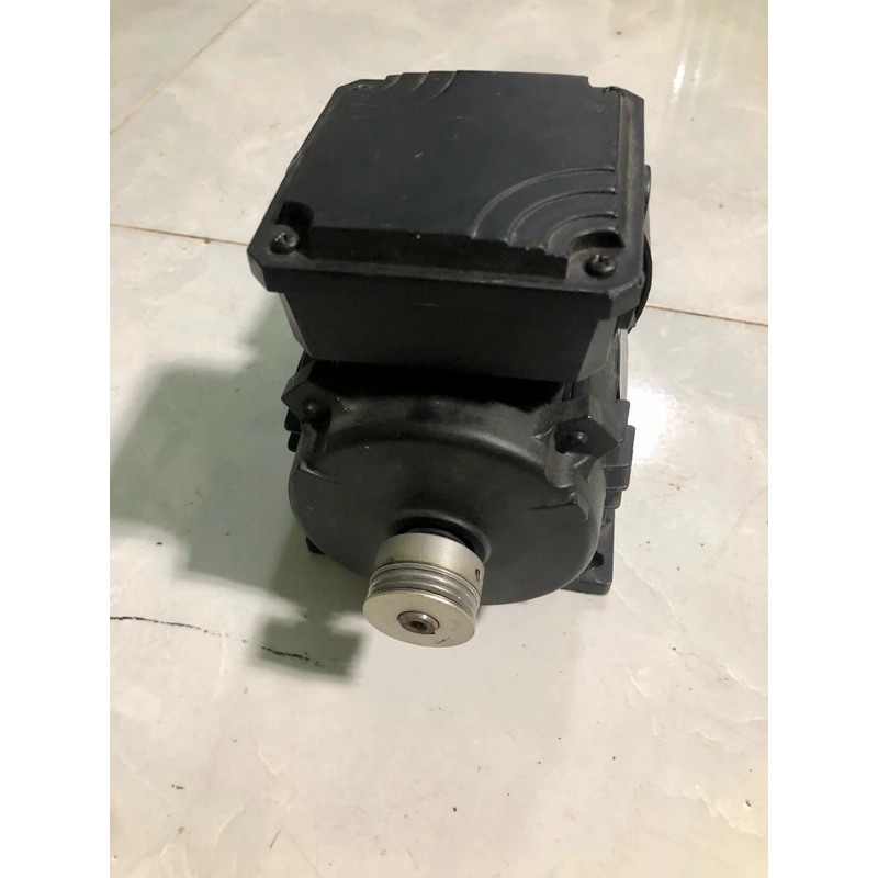 Động cơ kéo 3pha Made in Eu 446720
