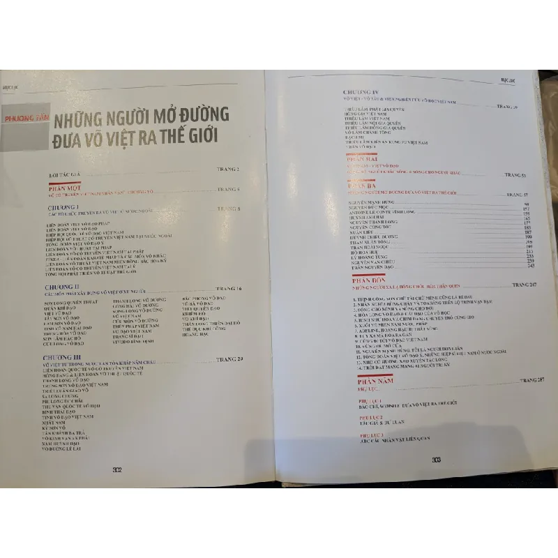 Những người mở đường đưa võ Việt ra thế giới - Phương Tấn 701548