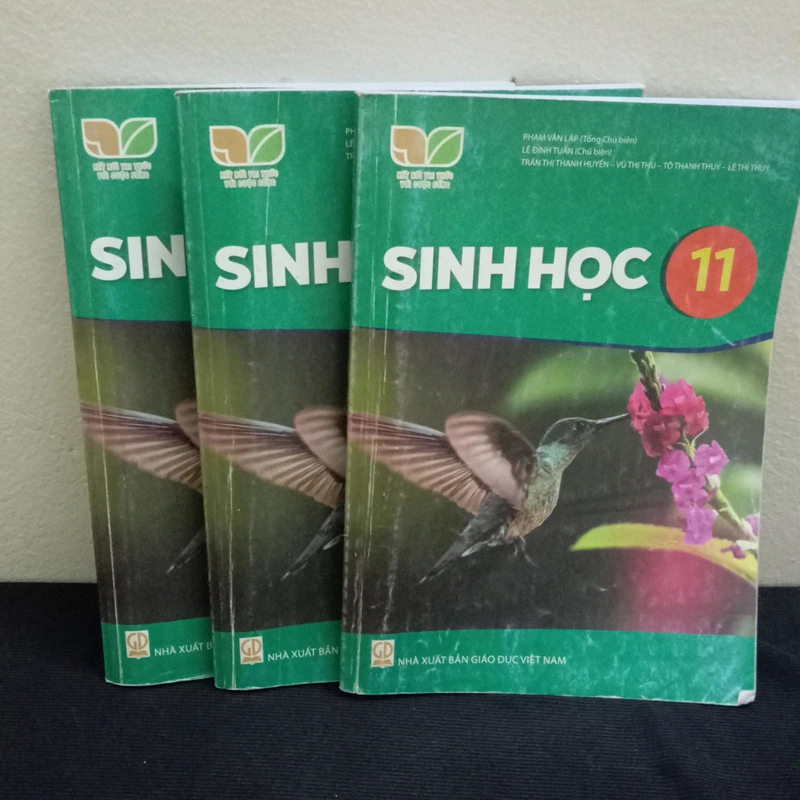 SGK Sinh Học Lớp 11-Kết Nối Tri Thức Với Cuộc Sống  550871