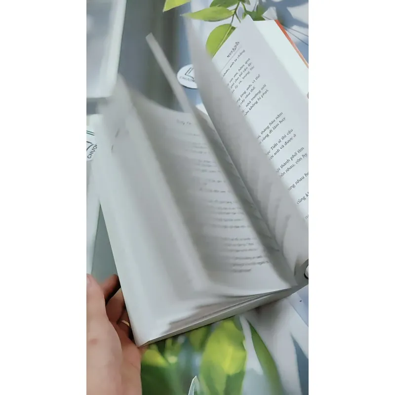 Tình Yêu Đau Dạ Dày - Điệp Chi Linh 744771