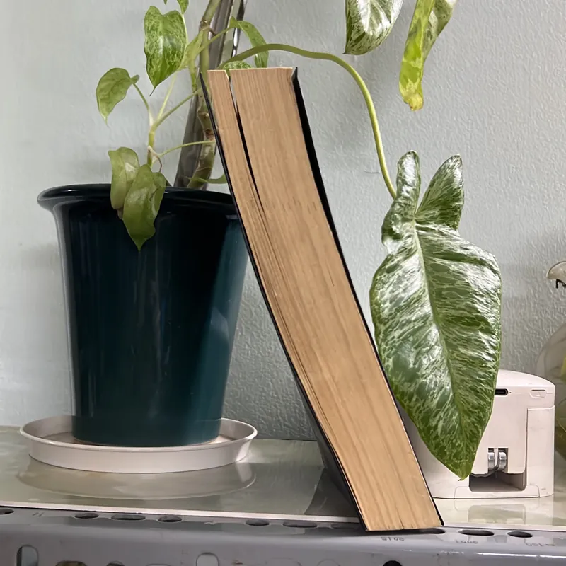 Lãnh đạo phong cách Barack Obama 736343