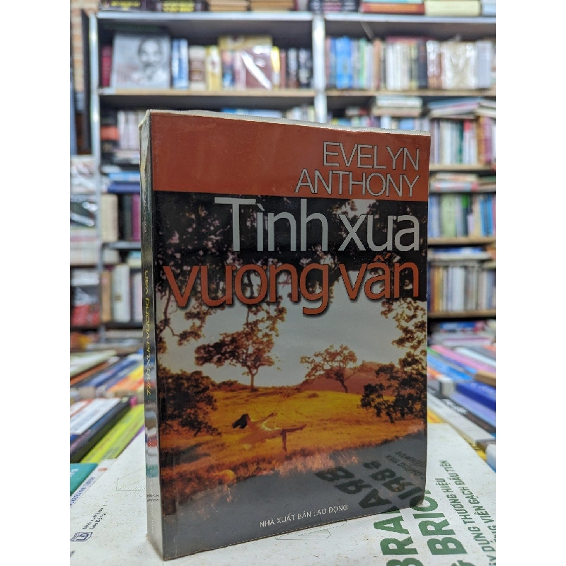 Tình xưa vương vấn - Evelyn Anthony 122558