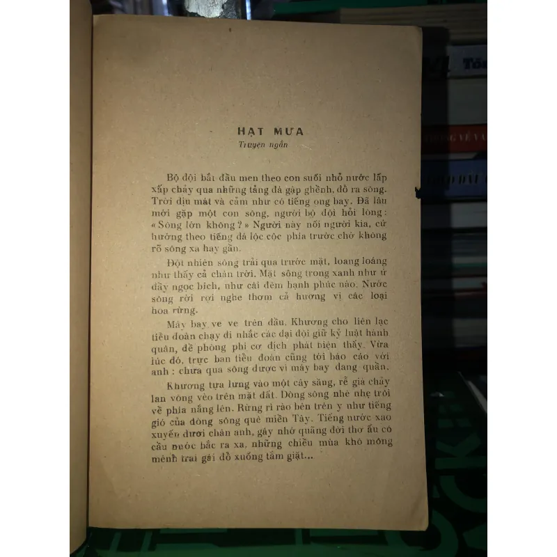 Mùa nấm tràm - Đinh Quang Nhã 787616