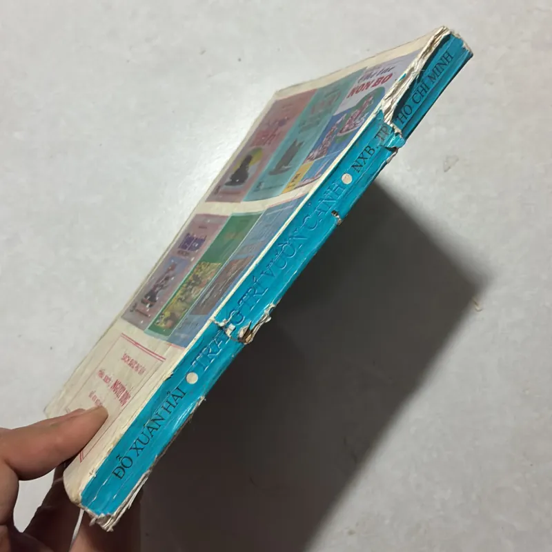 Trang trí vườn cảnh - Đỗ Xuân Hải 799844